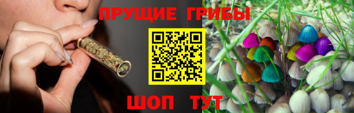 Галлюциногенные грибы ЛСД  Вход с VPN  Ногинск  Псилоцибиновые грибы мицелий 